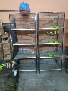 birds cage