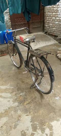 I have need money urgent