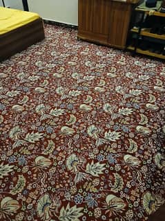 Good Quality Large Carpet for Sale (16ft Length, 11ft Width)