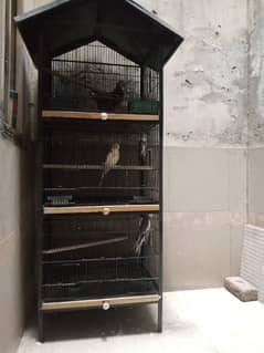 3 portion cage with birds