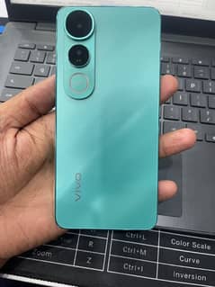 vivo