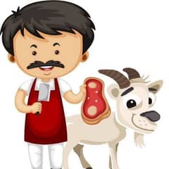 Bakra qasai available 3500
