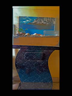 Fish Aquarium - message on whatsapp - 03483062507