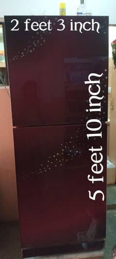 Jumbo Size Pel Fridge | Refrigerator | Fridge & Freezer
