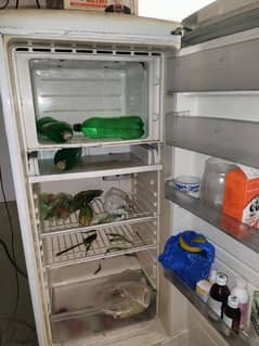 Sanyo Japan fridge