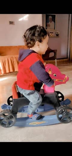 Cycle & horse