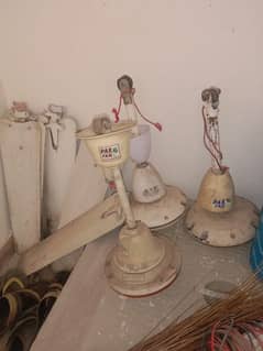 ceiling Fan