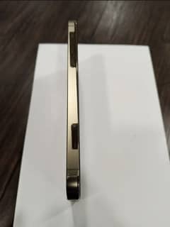 iPhone 12 Pro 256
