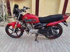 Yamaha YBZ DX New Condition