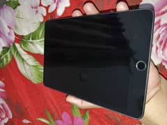 ipad mini 5