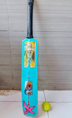 Cricket Bat With ball