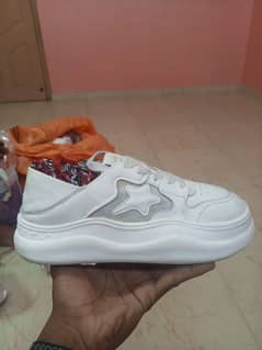 shoesterpk1@gmail. com