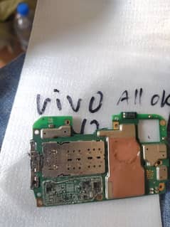 Vivo