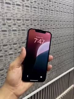 12 pro max 256gb