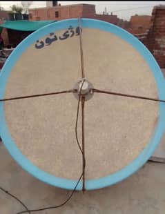 dish