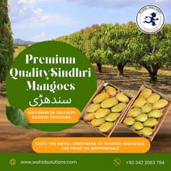 Premium Sindhri Mango Gift Boxes to Pakistan King of Fruits Nationwide