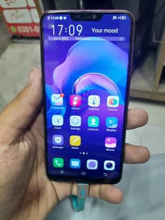 vivo