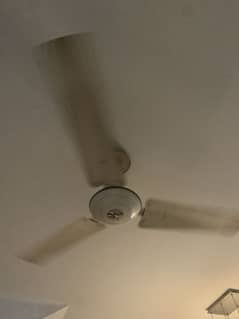 Ceiling fan | royal fans company