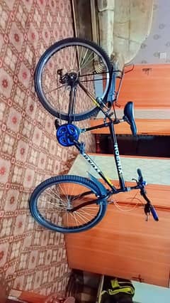 Bicycle Phoenix