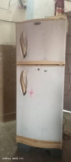 Waves fridge