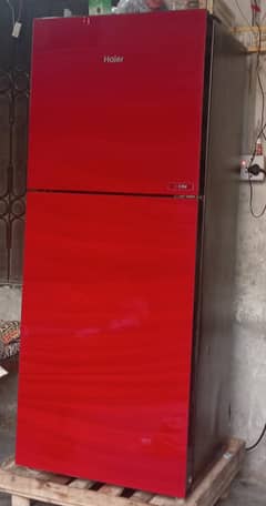 Haier medium size fridge