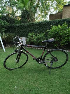 Racing cycle