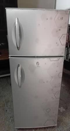 Hair medium size Fridge