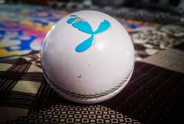 Cricket Hardball