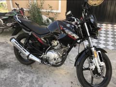 YAMAHA YBR 2025 - Lush New Condition