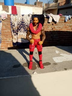 WWE action figures