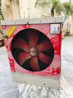 220v