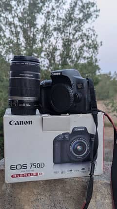 Canon 750d with 55 250 mm zoom lens