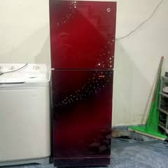 pel glass door fridge 03215479892
