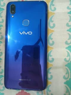 VIVO