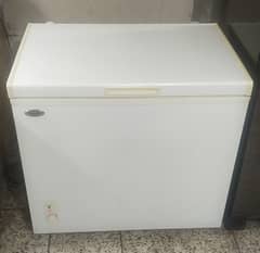 Waves Cool Bank Deep Freezer Haier Pel Dawlance