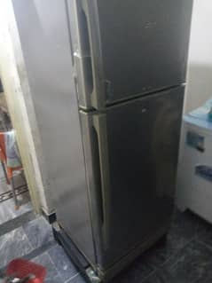 frige