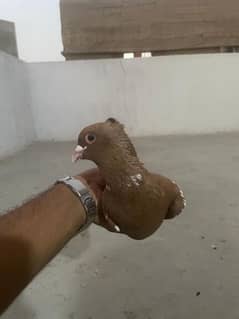 For