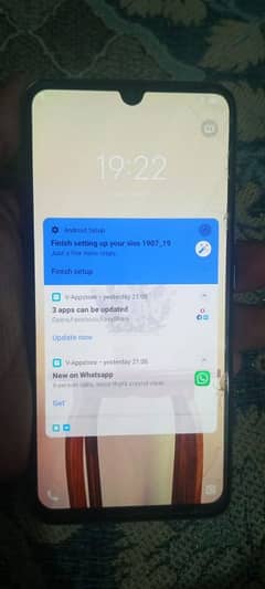 vivo