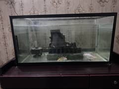 Selling my aquarium and fishes
