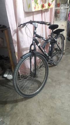 cycle