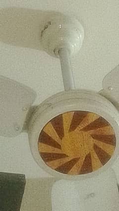 Fan