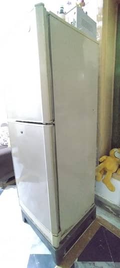 Fridge