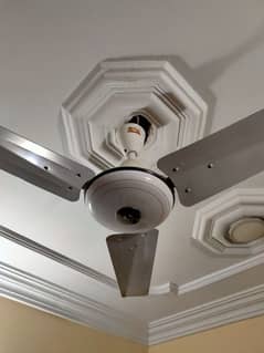 Celling Fan GFC & SK Brand Only 2 Year Used