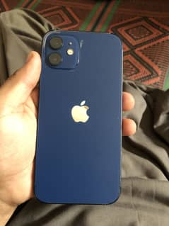 iPhone 12