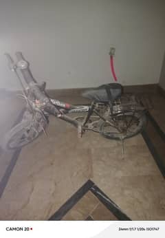 cicly