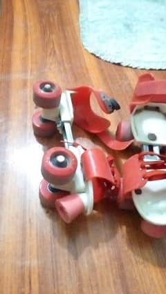 sciting shoes