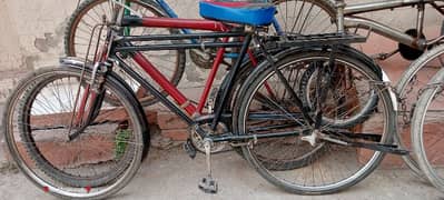 Black Sohrab Baba Cycle