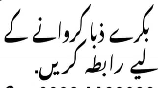 Bakary Zibha karwny k liya rabta kry