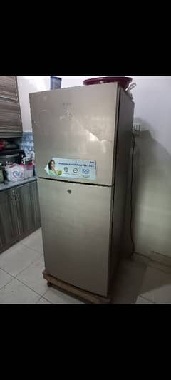 Haier