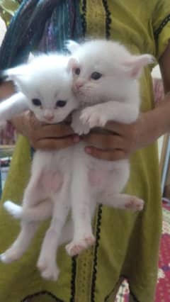 7000 per baby